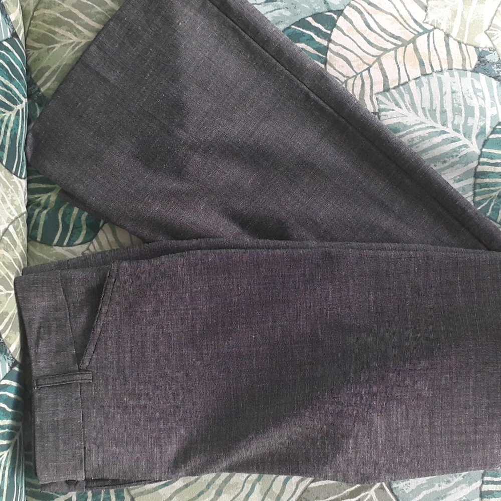 Express Pants